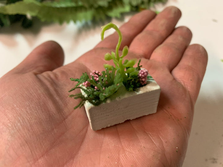 Mini Tutorial: Succulents in a Cinder Block - Mini Materials